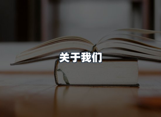 关于我们